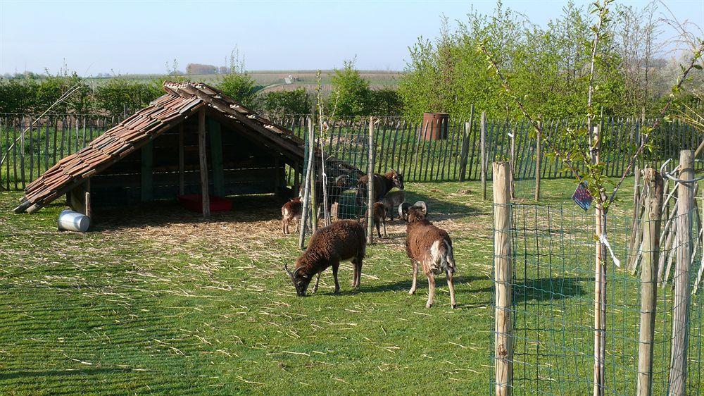 Rikkeshoeve Vakantiewoning Aalst 외부 사진